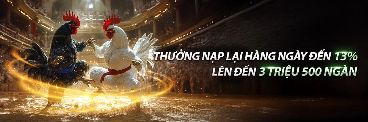 Hình ảnh đối tác và đại lý hợp tác thành công với nền tảng tỷ lệ 5