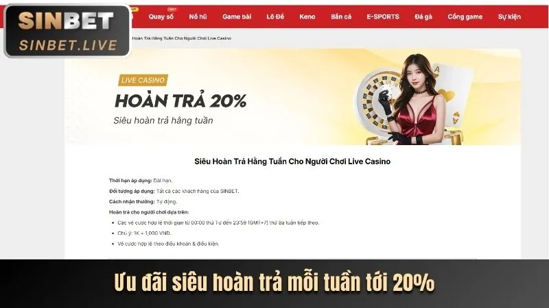 Tổng quan nền tảng cá cược uy tín